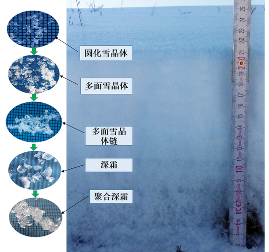 雪是怎么形成的（雪是怎么形成的物理现象）