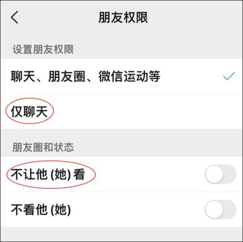 被对方屏蔽了显示什么（怎样辨别朋友圈别人屏蔽了你）