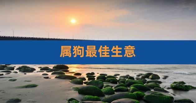 属狗人适合做什么生意（属狗的人做什么生意最好）
