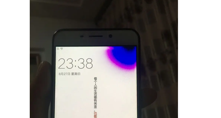 手机漏液怎么办（手机屏幕漏液怎么处理）