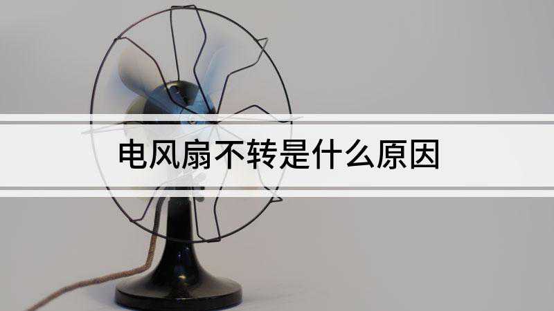 电风扇不转是什么原因（电风扇为什么不转）