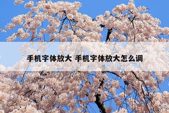 如何放大手机字体（怎样将手机字体放大）