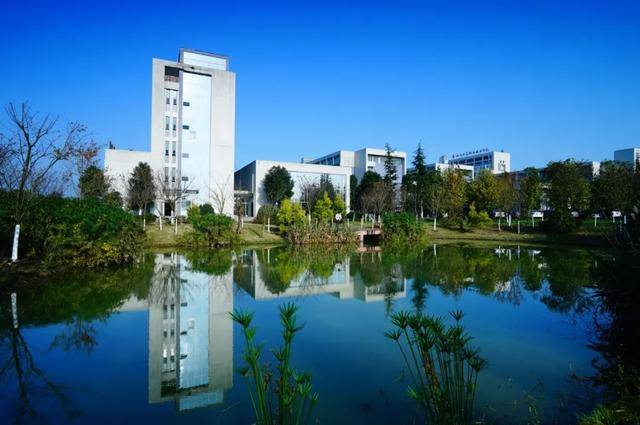 高职院校专项计划是什么意思（高职院校专项计划指什么）