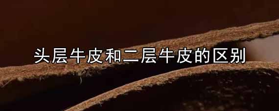 头层牛皮和二层牛皮的区别（头层牛皮和二层牛皮有什么不同）