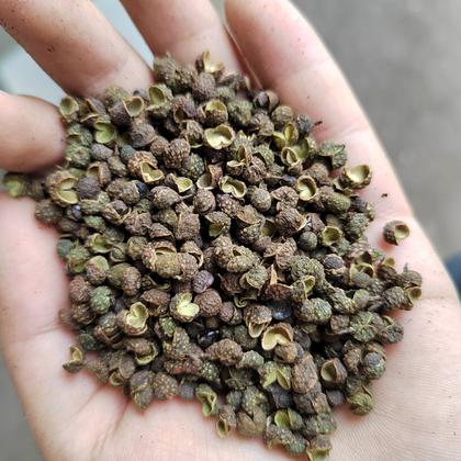 花椒和麻椒有什么区别（花椒和麻椒有什么不同）