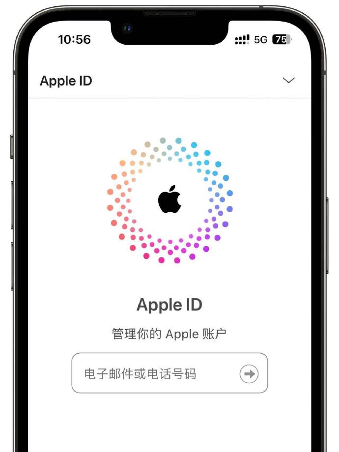 怎么退出苹果id账号（苹果id怎么退出登录）