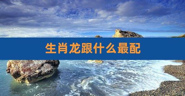 属龙和什么属相最配