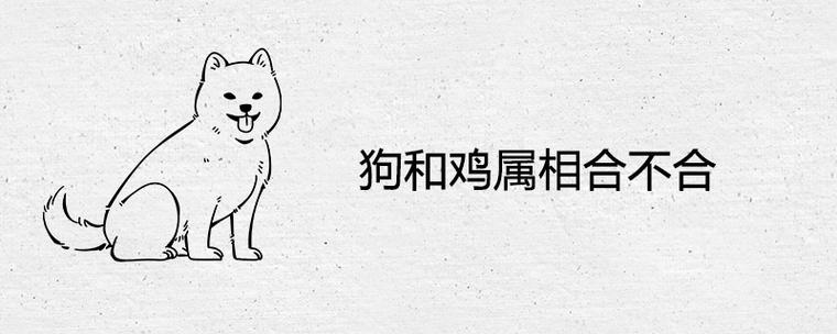 鸡和狗的属相合不合（属鸡和属狗的人合不合适）