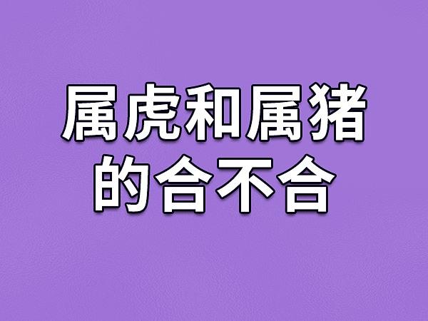 猪和虎的属相合不合（属猪和属虎的人在一起合适吗）
