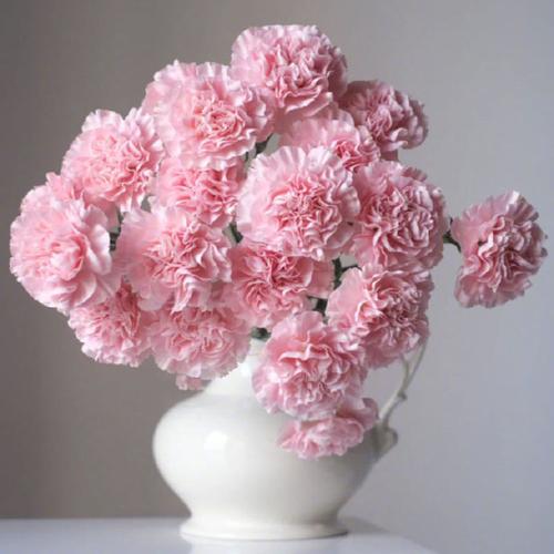 送母亲鲜花送什么花（适合送母亲的花有哪些）