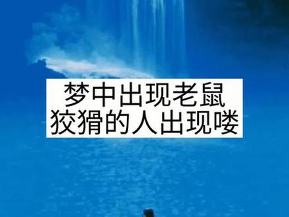 梦见老鼠是什么征兆（梦见老鼠预示着什么）
