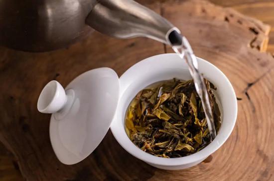 普洱茶怎么泡才正确方法（普洱茶应该怎么泡）