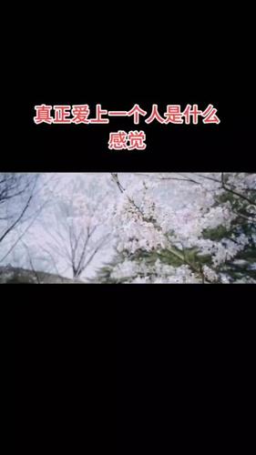 爱上一个人是什么感觉（爱一个人是什么感觉）