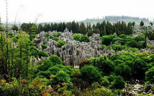 云南有哪些旅游景点（云南有哪些旅游景点值得去）