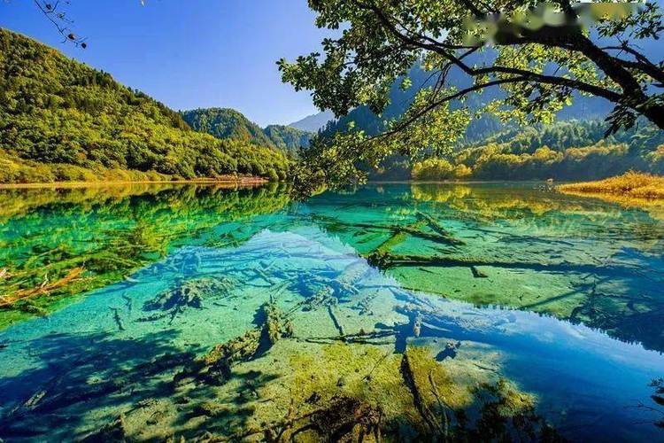 九寨沟海拔高度是多少米（九寨沟有多高）