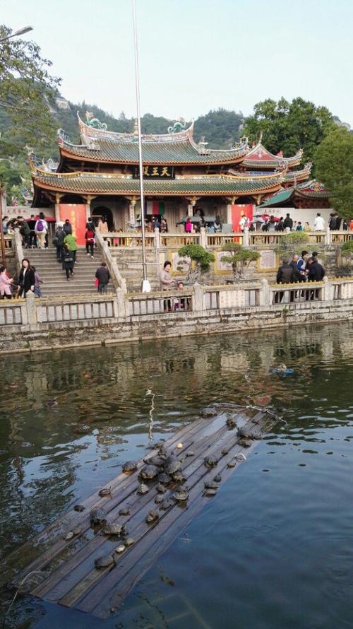 南普陀寺旅游攻略（南普陀寺旅游攻略路线）