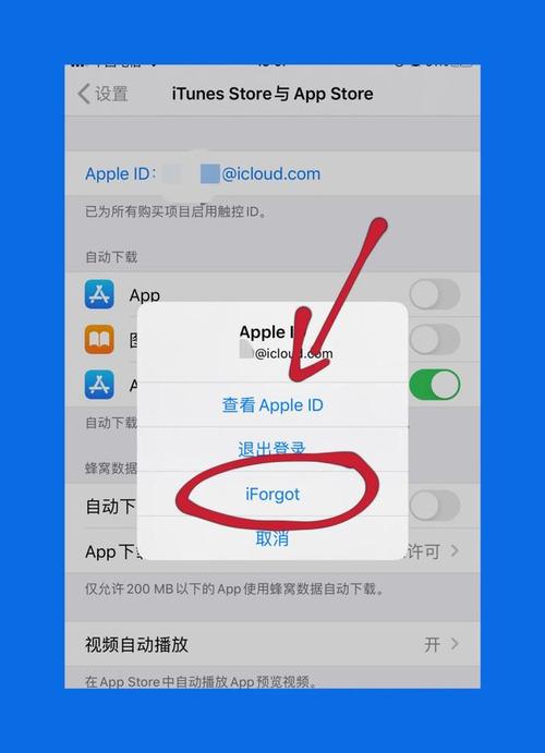 苹果账号密码忘记了怎么办（苹果账号忘记密码了怎么办）