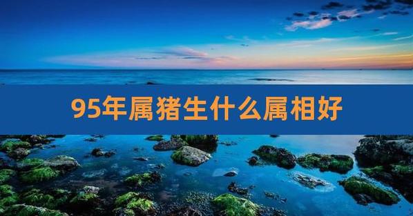 属猪的和什么属相最配（属猪的和什么属相在一起最合适）