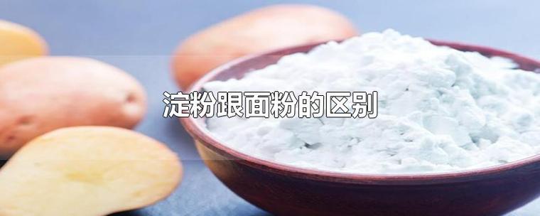 淀粉和生粉的区别（淀粉和生粉有什么不同）