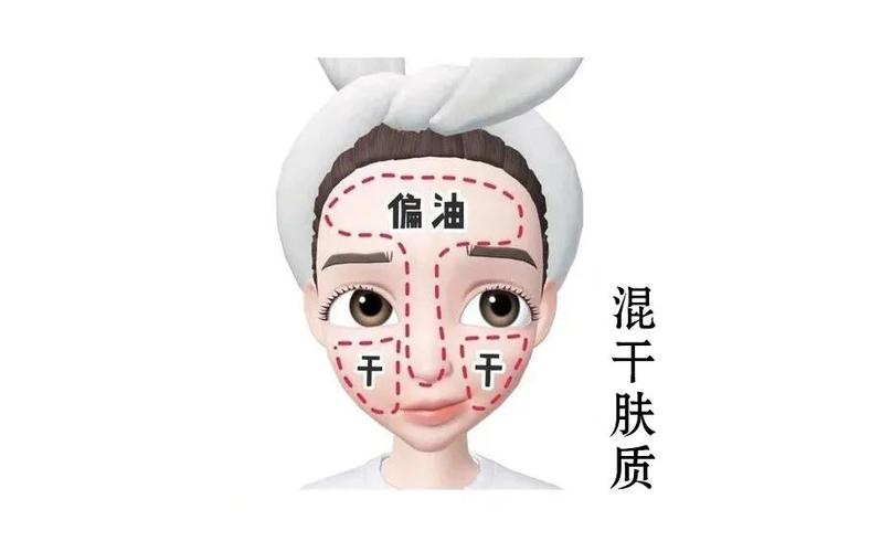 混干皮和混油皮区别（怎么判断是混干还是混油）