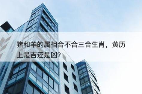 羊和猪的属相合不合（属羊属猪合不合适）