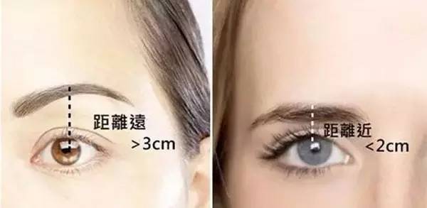 眉眼距离近好还是远好（眉毛和眼睛的距离近好还是远好）