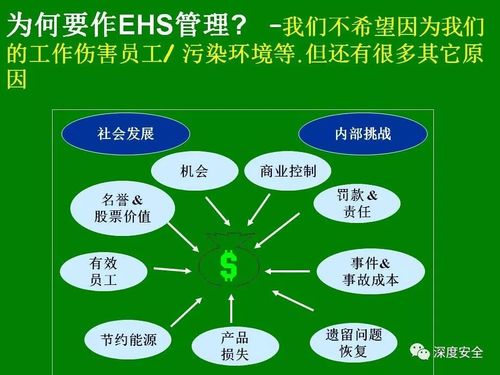 什么是ehs（ehs是什么意思）