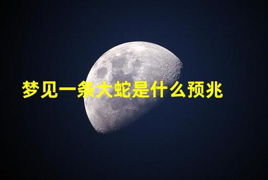 梦见大蛇是什么预兆（梦见大蛇预示着什么）