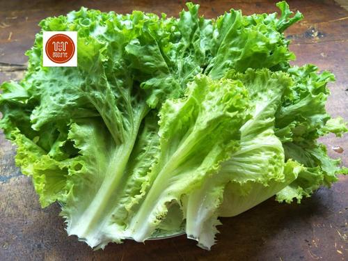 越吃越胖的10种蔬菜（十种容易长肉的蔬菜）