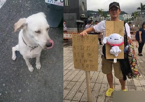 梦见杀狗是什么预兆（梦见杀狗是什么意思）