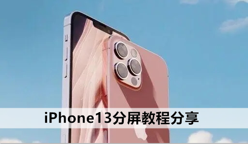 苹果怎么分屏（苹果手机怎么设置左右分屏模式）