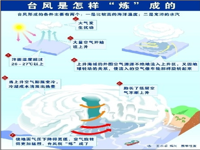 台风形成原因（台风是怎么形成了）