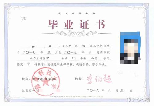 成人高考是什么意思（什么叫成人高考）