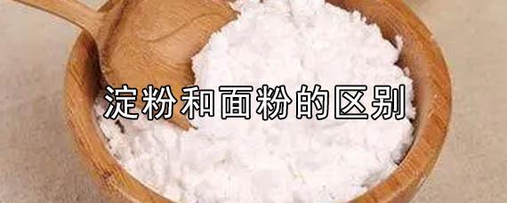 淀粉和面粉的区别（淀粉和面粉有什么不同）