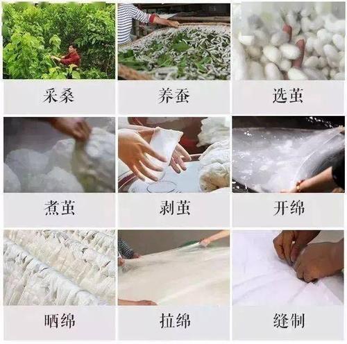 蚕丝被的晾晒方法（蚕丝被怎么晾晒）