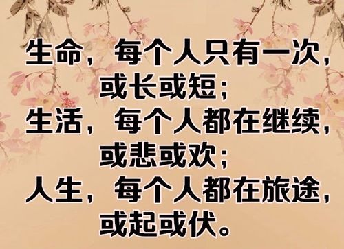 人死了会有下辈子吗（人死了还有没有下辈子）