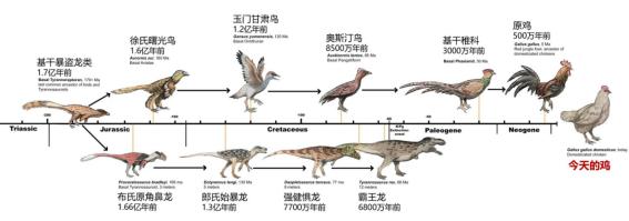 恐龙什么时候灭绝的（恐龙灭绝的时间）