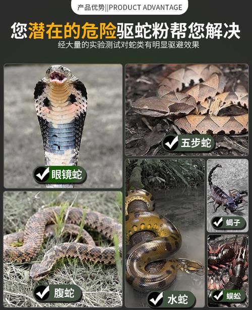蛇最怕什么东西如何驱蛇（家里防蛇用什么东西最好）
