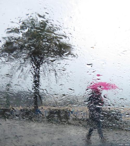 梦见下雨是什么征兆（梦见下雨是什么意思）