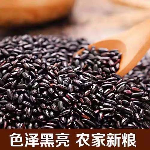 血糯米和黑米的区别（血糯米和黑米有什么区别）
