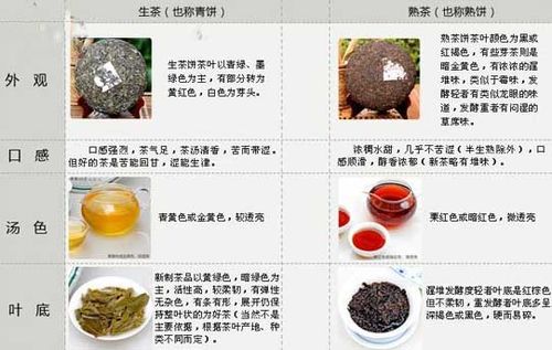 生茶和熟茶的区别（生茶和熟茶的不同之处）