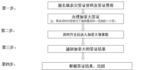出国旅游需要什么手续和证件