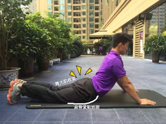 拉伸的好处（训练前拉伸的好处）