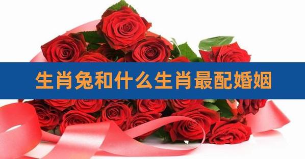 属兔女最佳婚配属相（属兔女和什么属相的人在一起最合适）