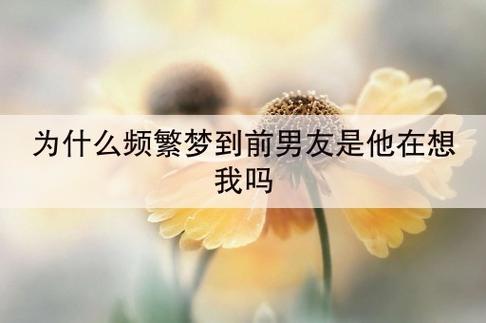梦到前任预示着什么（梦到前任是什么征兆）