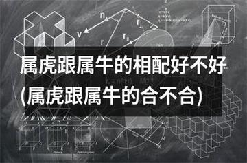 属牛和属虎的合不合（属牛和属虎合适吗）