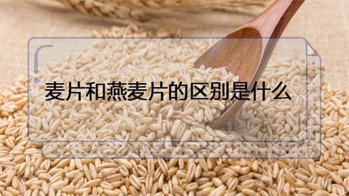 麦片和燕麦片的区别（麦片和燕麦片有什么不同）