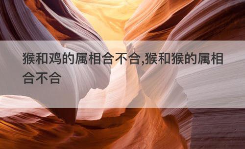 鸡和鸡的属相合不合（鸡和鸡的属相相配吗）