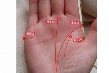 怎么看命里有几个孩子（如何知道命里有几个孩子）