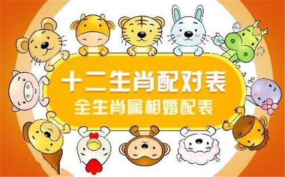 属猪和什么属相最配（生肖猪和什么生肖在一起最合适）